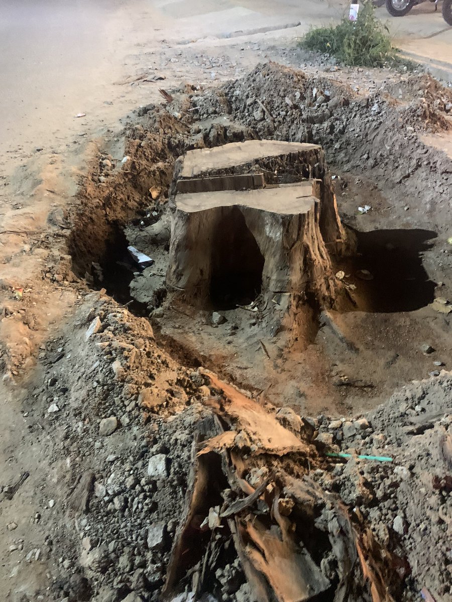brtavva's tweet photo. After below post, work got initiated with making pits bigger &amp; few stumps cut, but not yet cleared. Not sure when work will start other stumps beyond DMart till level crossing. Hopeful that it gets closed next 2 weeks. 

#carmelaram #RoadSafety 
@carmelaramunite @MTF_Mobility https://t.co/BPcqZUyDyq