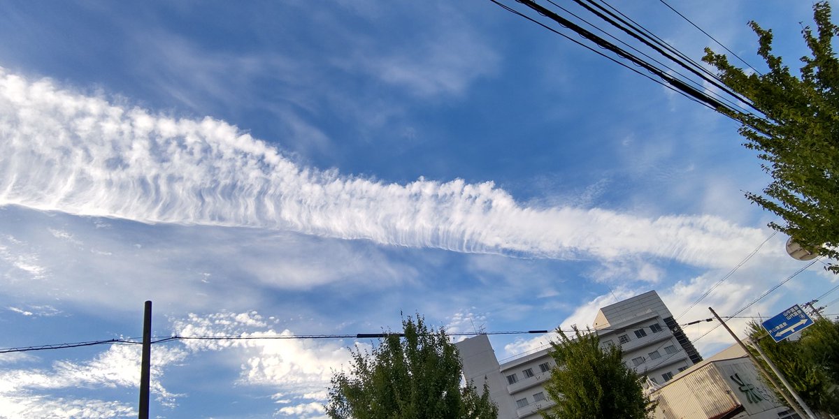 cornerout4312's tweet photo. 変な雲☁
ヘビのホネみたい https://t.co/1TSLQruLxj