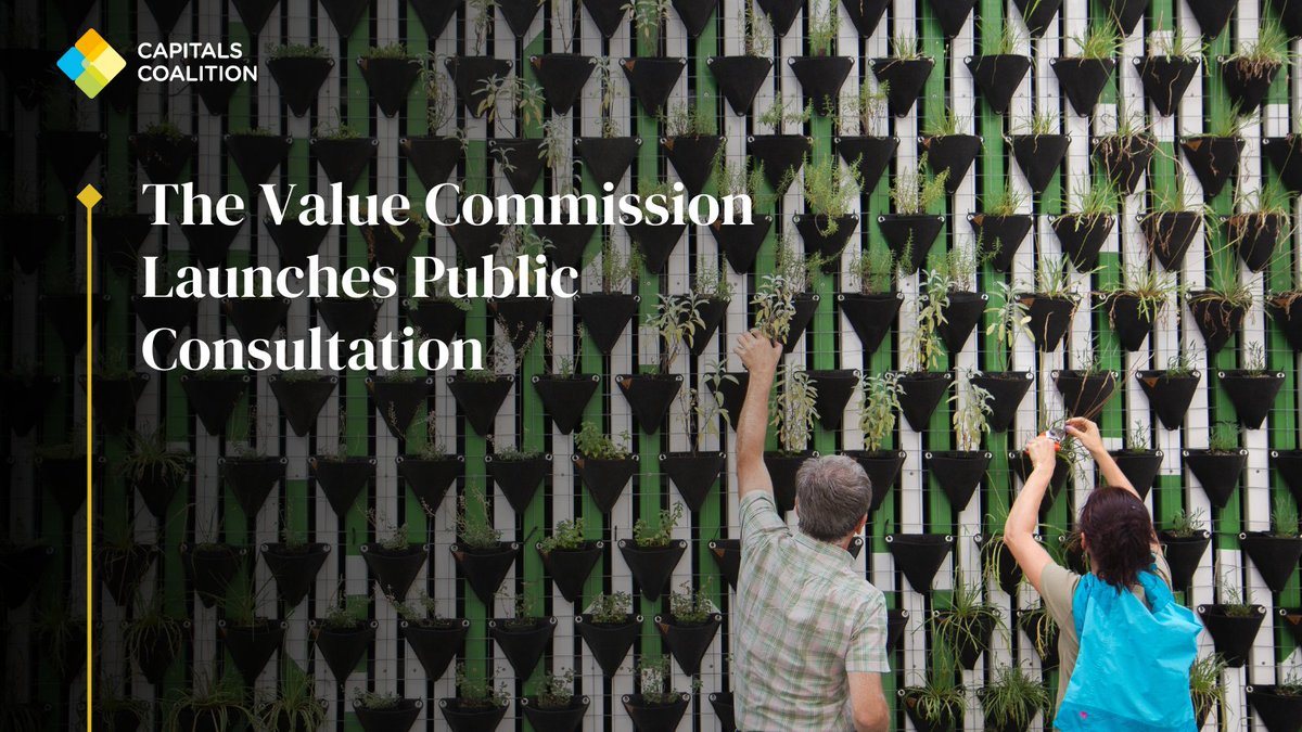 CapsCoalition's tweet photo. 🚀 Today, The Value Commission has launched a public consultation and are seeking feedback!

The consultation focuses on the co-design &amp; development of transparent global criteria for the creation and use of value factors.

Provide feedback ➡️ https://t.co/5BnFQVP0f8 https://t.co/V1chzBnj1q