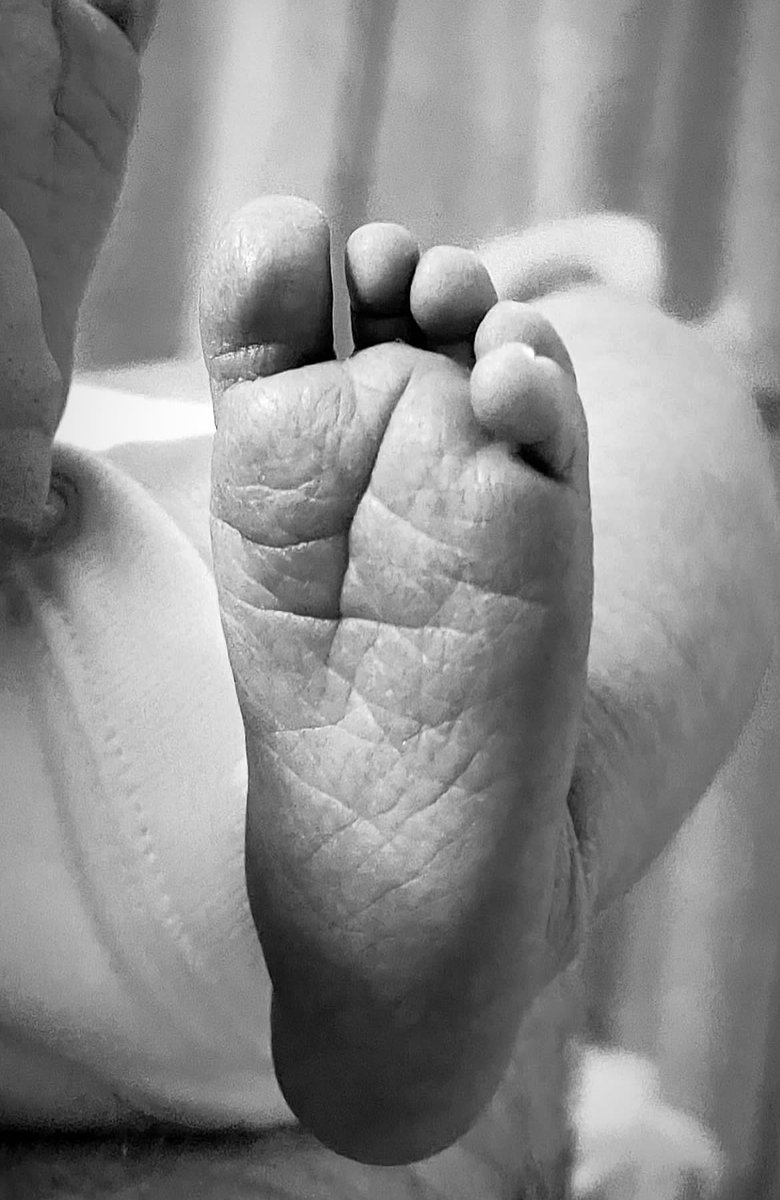 Elle Morris tweet media