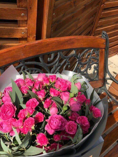 JadaNuh's tweet photo. اللهم طمأنينة لقلوبنا، و تيسيرا لأمورنا.💙
#صباح_الخير https://t.co/uv6nAkEYug