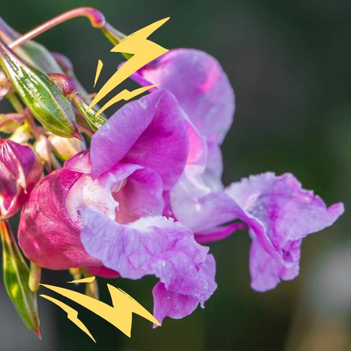 Trent Rivers Trust tweet media