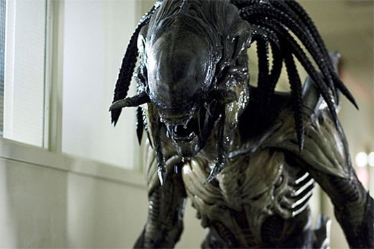 Need the predalien as a Xenomorph Ultra-rare. Fr fr ong