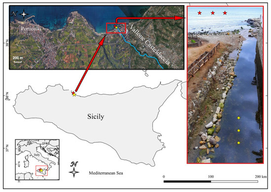 Biology_MDPI's tweet photo. #Highlight_Paper Series_Sharing
A Comparative Analysis of Aquatic and Polyethylene-Associated Antibiotic-Resistant Microbiota in the Mediterranean Sea https://t.co/snvEmbZiSG via @Biology_MDPI @udepalermo
#microbiome #resistome #plastisphere #polyethylene #aquatic_environments https://t.co/9ArNo2nHfR