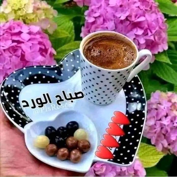 المهندس ٢ tweet media