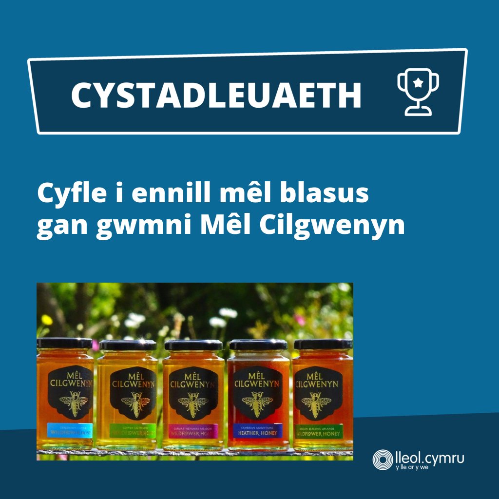 lleoldotcymru's tweet photo. **CYFLE OLAF** 

Ewch amdani >> https://t.co/7V8ONxWTdt 

Rydym wedi partneru gyda Mêl Cilgwenyn i gynnig cyfle anhygoel i chi ac un ffrind arall ennill pedair jar o fêl o ddewis o’u mêl blasus.

#Mêl #Honey #Cymru #Wales #Win

@Cilgwenyn https://t.co/accZsAKLiu
