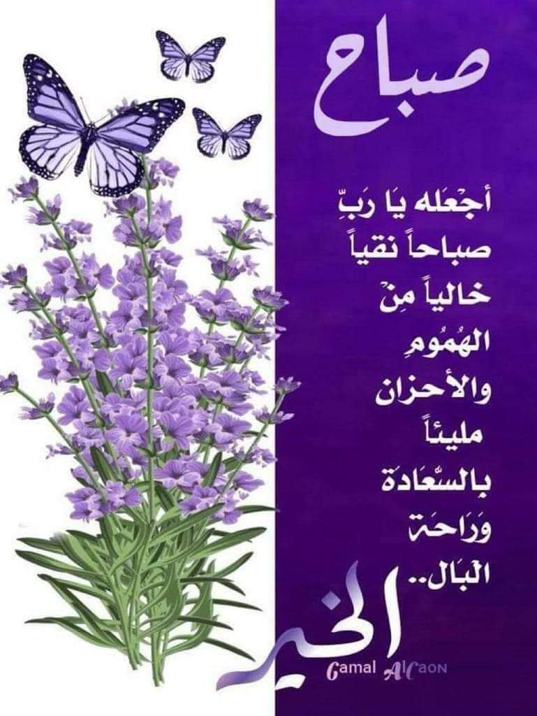 المهندس ٢ tweet media
