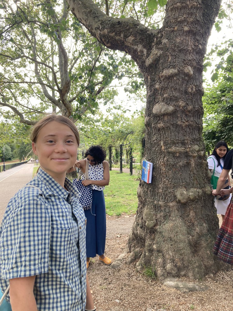 The Book Fairies tweet media