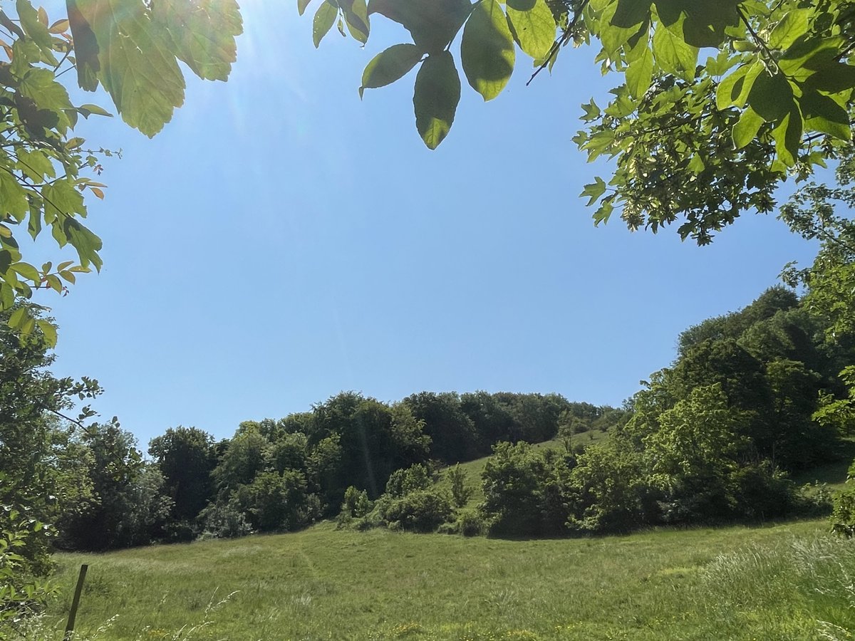 FriendSouthDwns's tweet image. PROGRAMME CHANGE: please note that the Sat 16 Sept walk Washington-Findon has been rescheduled for Sat 26 AUGUST. Would you like to come along? Get in touch: friendsofthesouthdowns.org.uk/public-walks/
#southdowns #walkwithus #walkinguk