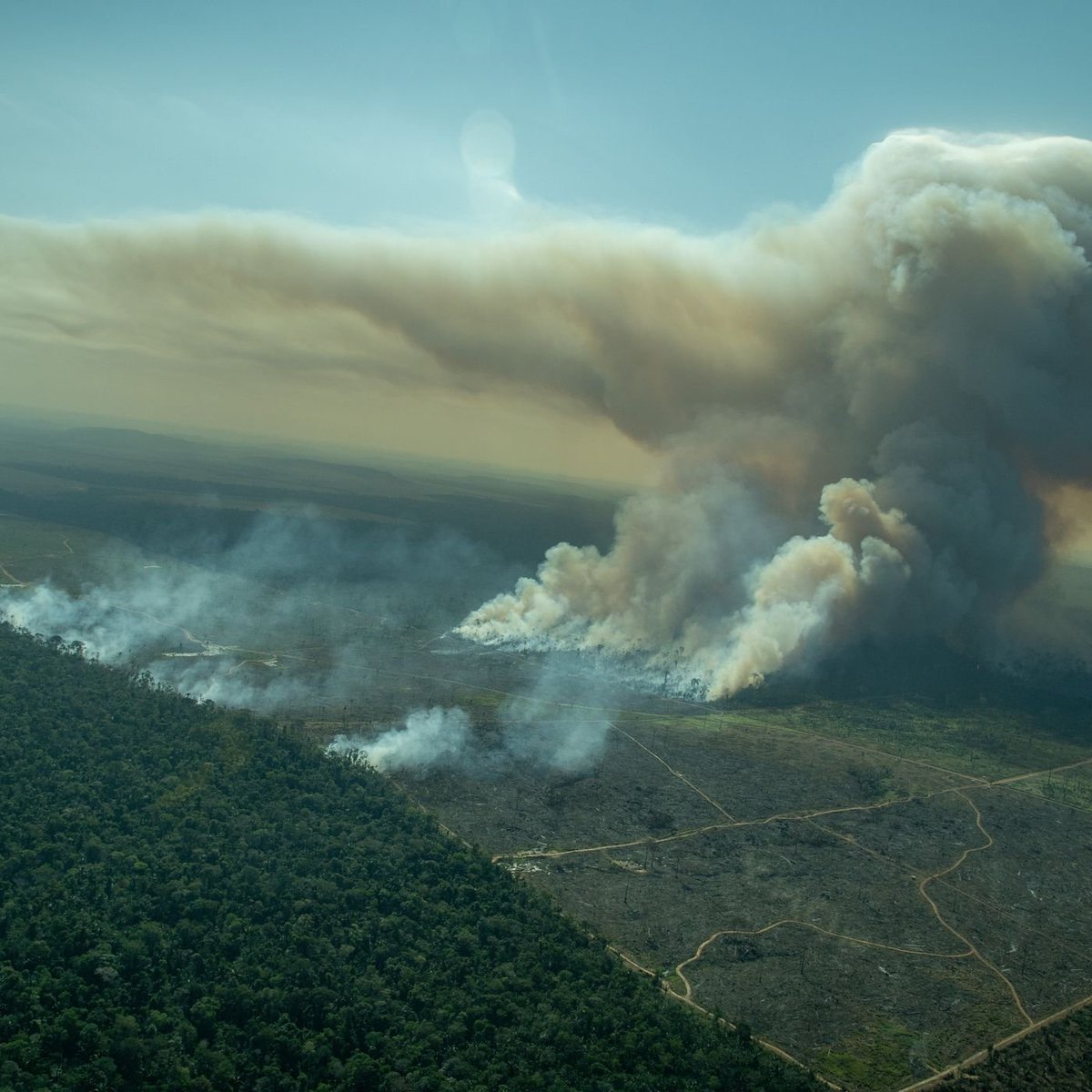 Le jour du dépassement est atteint.

Ce mercredi 2 août, l’humanité a épuisé toutes les ressources que la Terre est capable de régénérer en une année.