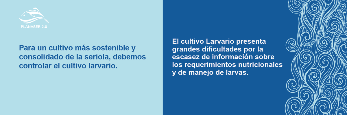 PLANASER 2.0 tweet media