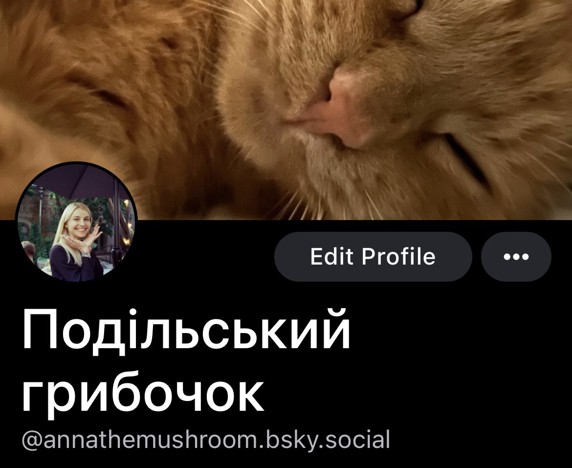 давайте дружить! додавайтесь або кажіть, як вас там знайти :)