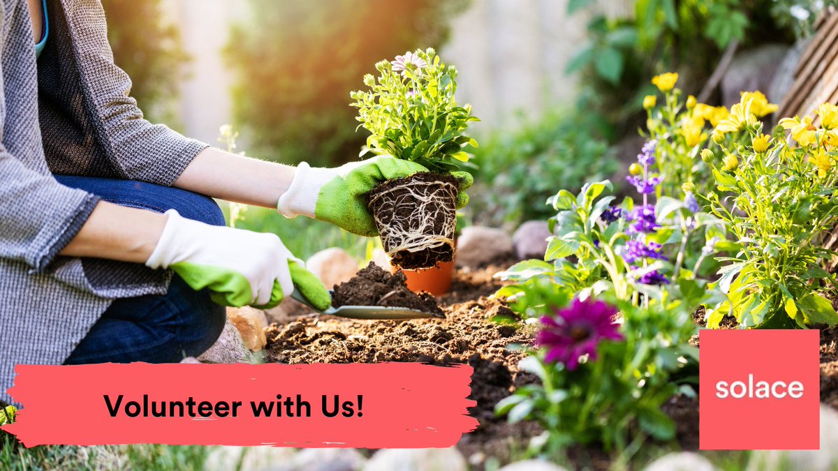 SolaceWomensAid's tweet photo. Love gardening? Want to support women and girls to live safe lives? Why not be a gardening volunteer for Solace?

We’re looking for a woman to work alongside our wellbeing group at our complex needs refuge to maintain our beautiful garden.

https://t.co/jPDMerncBD https://t.co/3ezayB0QA7