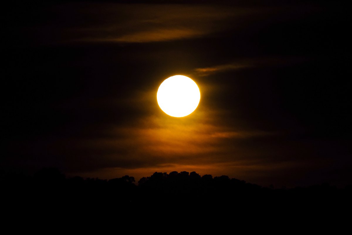 The moon looks incredible here tonight.