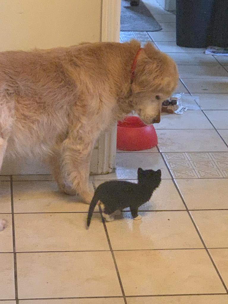 CP Bedford tweet media