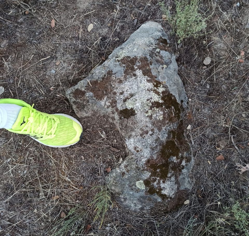 EL TERCER VERRACO VETTÓN DE SANTA CRUZ DE LA SIERRA.
El historiador Agustín Melchor Terrón ha encontrado de forma fortuita un tercer "guarrino vettón" de la zona de San Juan el alto.
Servicio de Protección del Patrimonio Cultural de la JUEX. Carta arqueológica: inédito.