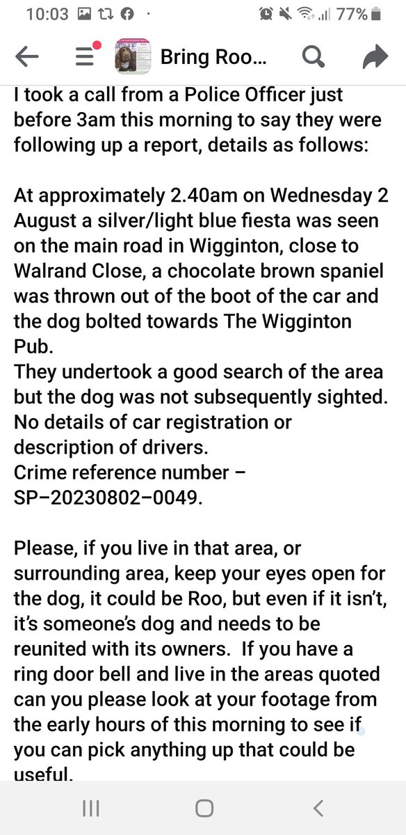 Missing Pets GB tweet media