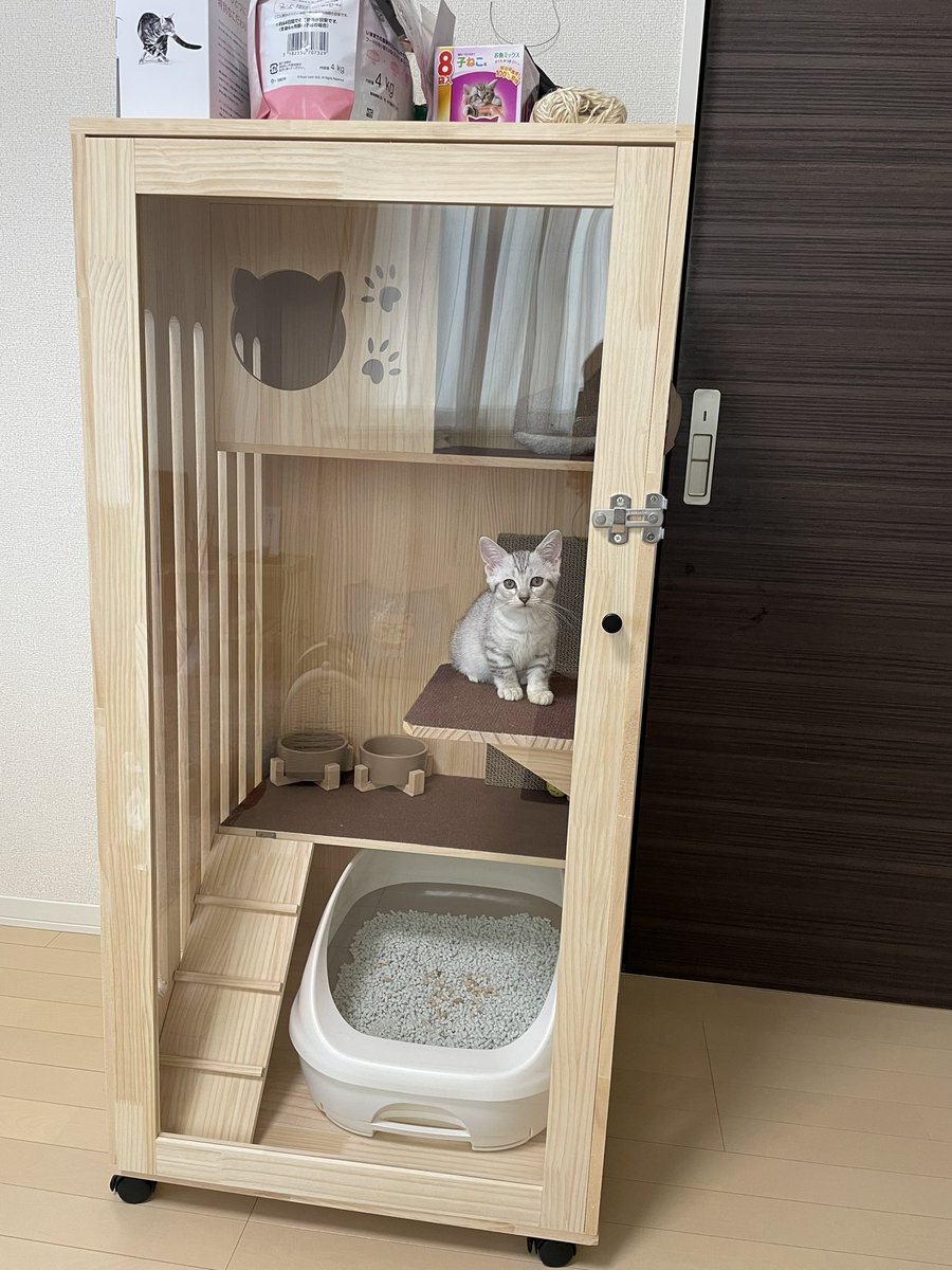 社畜のすけこ tweet media