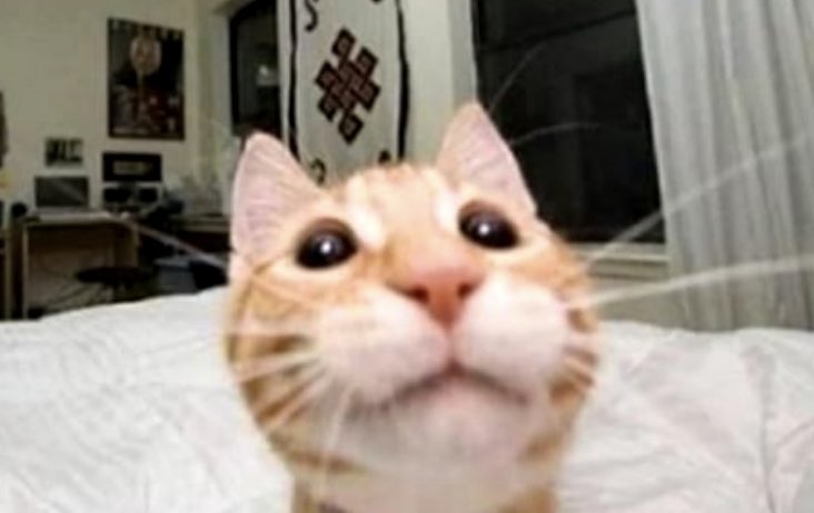 voidzzbelow's tweet photo. I'm bored as helllll https://t.co/HldFz9j083