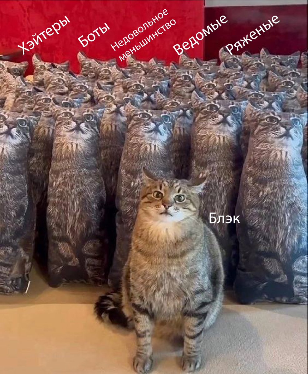 якудза 🔪 (@yakudza_hime) / Posts / X