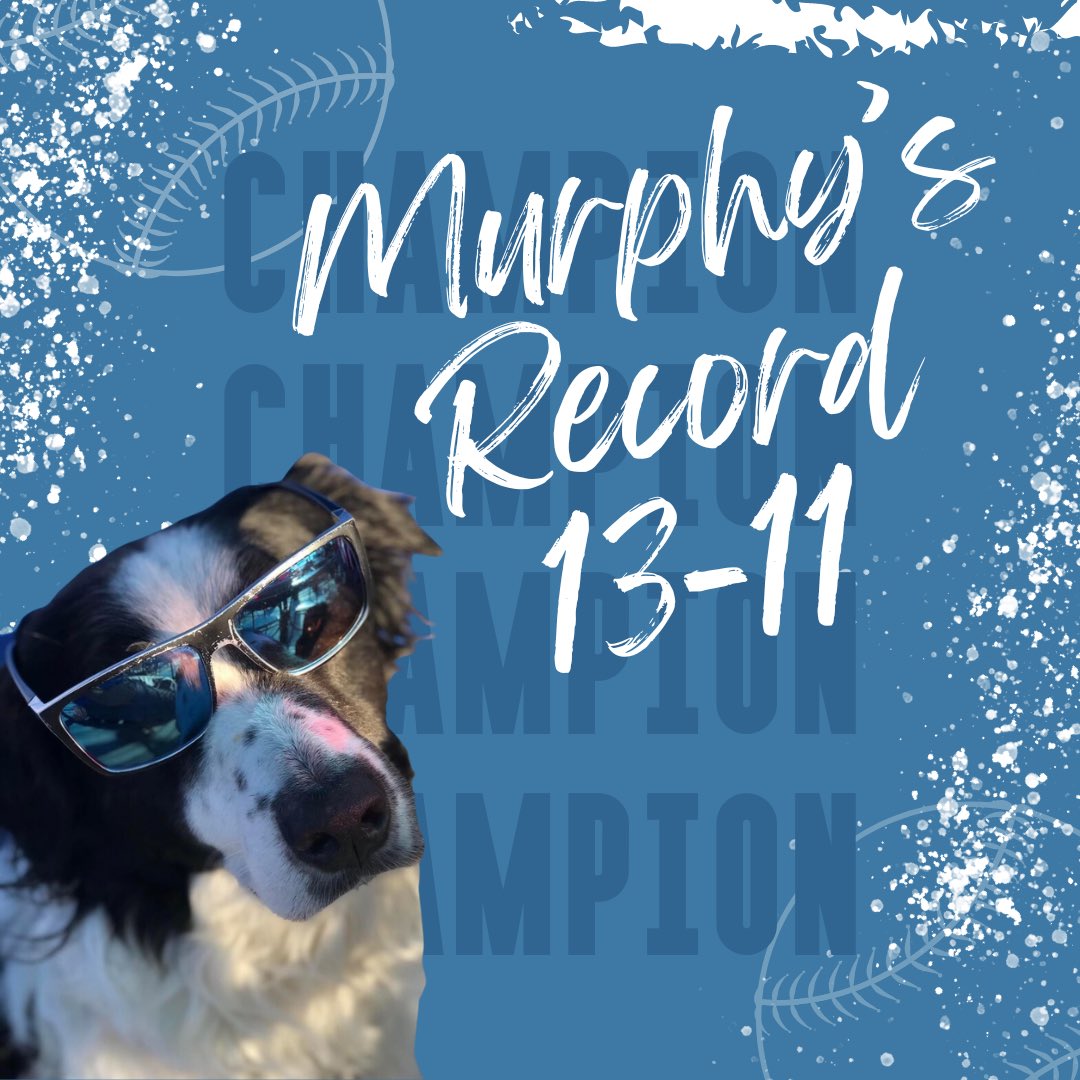 murphysnrfi's tweet photo. Still riding high. Murph is feeling a hot streak coming on! Follow for more FREE sports bets! 

#nrfi #freebrfi #freepicks #freepicksdaily #freemlbpicks #mlb #mlbbets #sportsbetting #handicapper #sportsbettingdog #bordercollie #bordercolliesofinstagram https://t.co/obUYaWJ6t4
