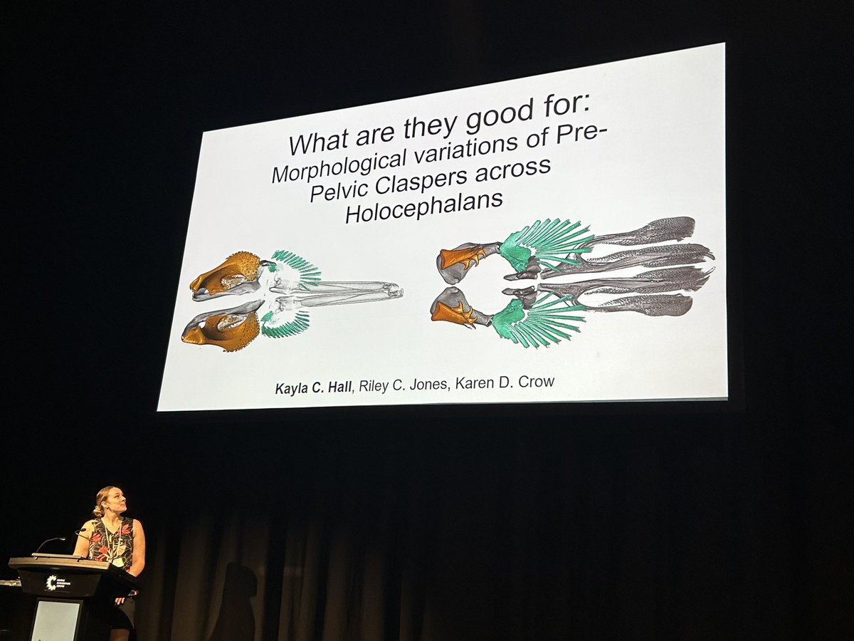 Dr. Kayla C. Hall tweet media