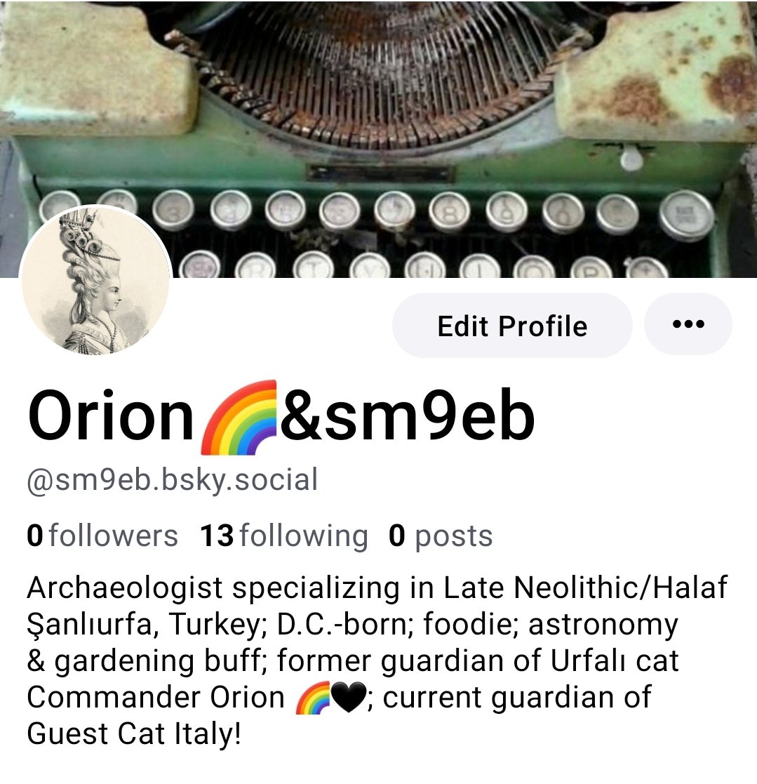 🐾Orion🌈&sm9eb📚🏺 tweet media