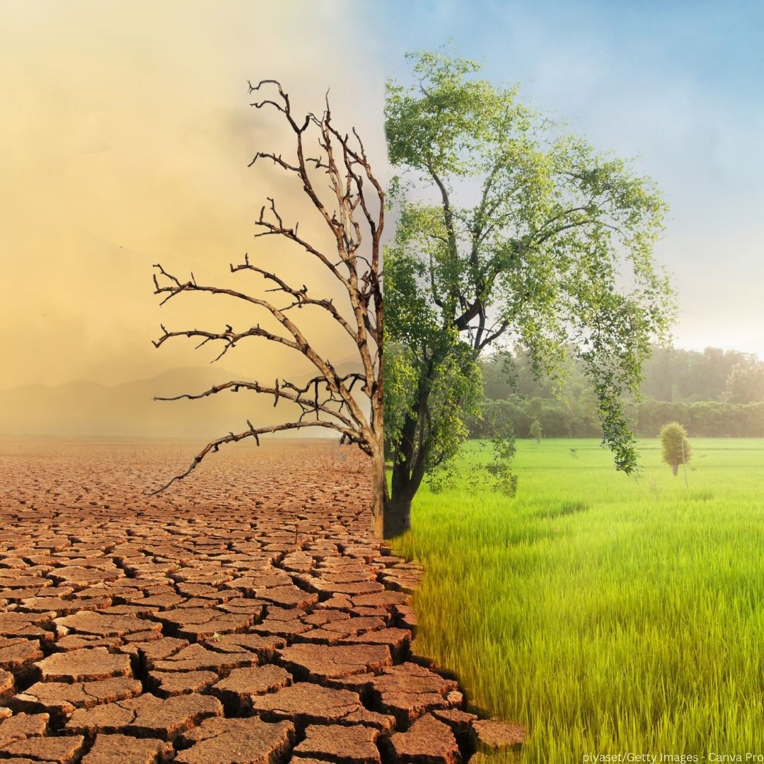 ¡La #AcciónClimática es más urgente que nunca!

El PNUMA hace frente a la #CrisisClimática mediante:

✅ Investigación basada en la ciencia
✅ Soluciones por sectores
✅ Fomento de una transición justa
✅ Promoción de las finanzas sostenibles

unep.org/es/datos-sobre…