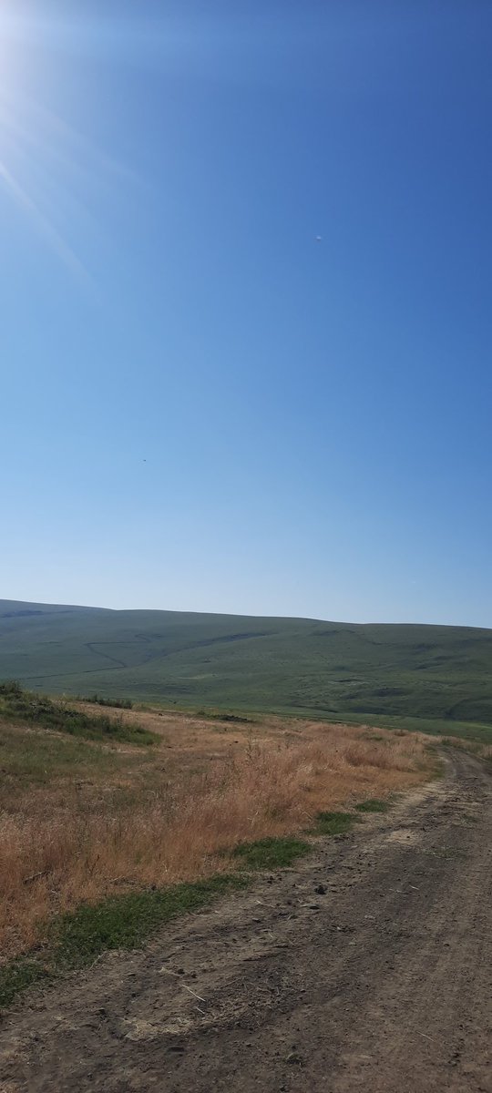 Gün aymış Günaydın o zaman