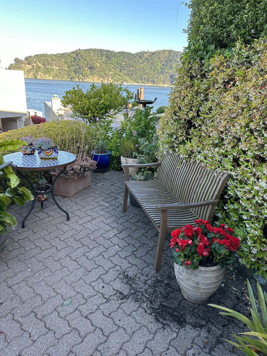 bronze4u's tweet photo. A recent trip to Lake Como, inspired us to add Wax Begonias, to our front garden. Flanking one of our benches. https://t.co/H5eB35etDx