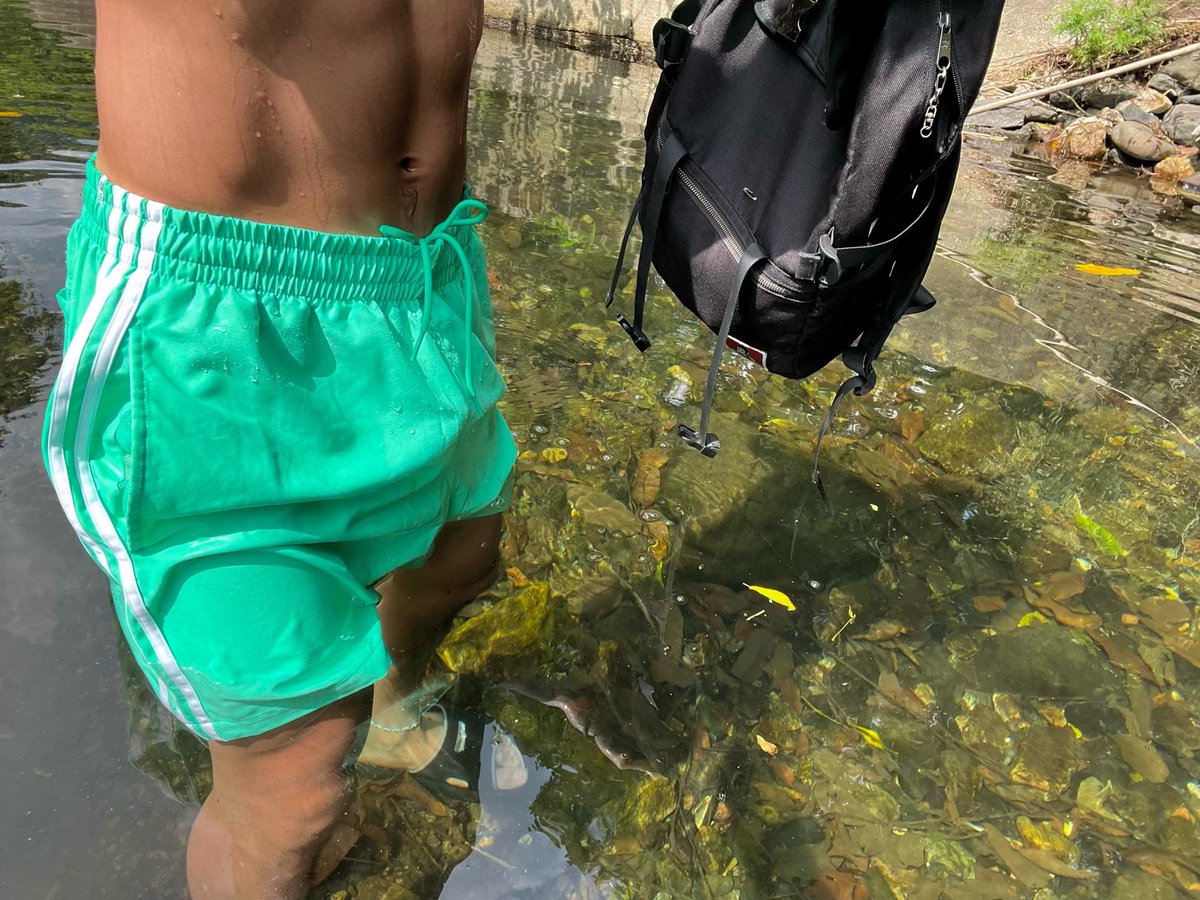 げ̶ん̶て̶ゃ̶ tweet media