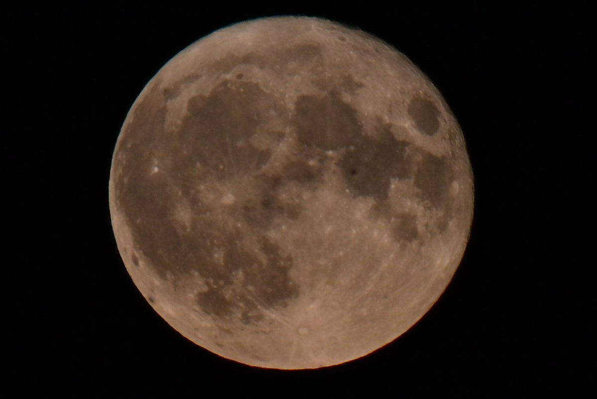 Tonight's Supermoon from our patio 🌕😎
#SuperMoon 
#SturgeonMoon2023
#SturgeonMoon 
#moon    
#astronomy