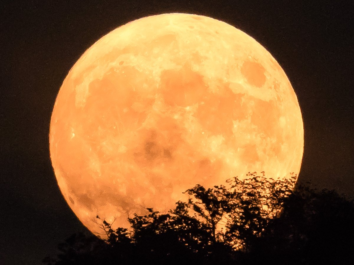 ＼月を見よう！／

本日（8/2）は満月です。

今日の仙台での月の出の時刻は19:34。
夏の夜空を照らす月のあかりをお楽しみください。