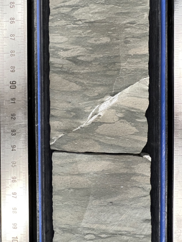 US_SciOD's tweet photo. When cores are examined they are cut in half. One half will be saved and one half will be sampled; they are mirror images. In this core, a fault has filled with calcite. #Exp39 #IODP https://t.co/nwGRtffYA4