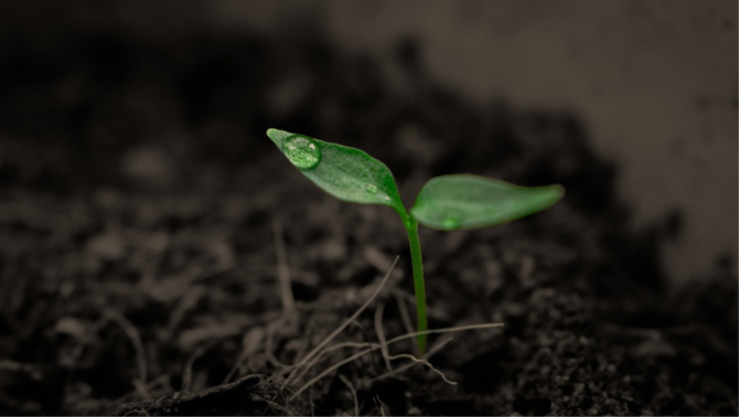 3CatInfo's tweet photo. La Terra entra avui en números vermells: ja hem consumit els recursos naturals de tot l'any
https://t.co/iSxOtLEXNb https://t.co/syXNJUhwmw