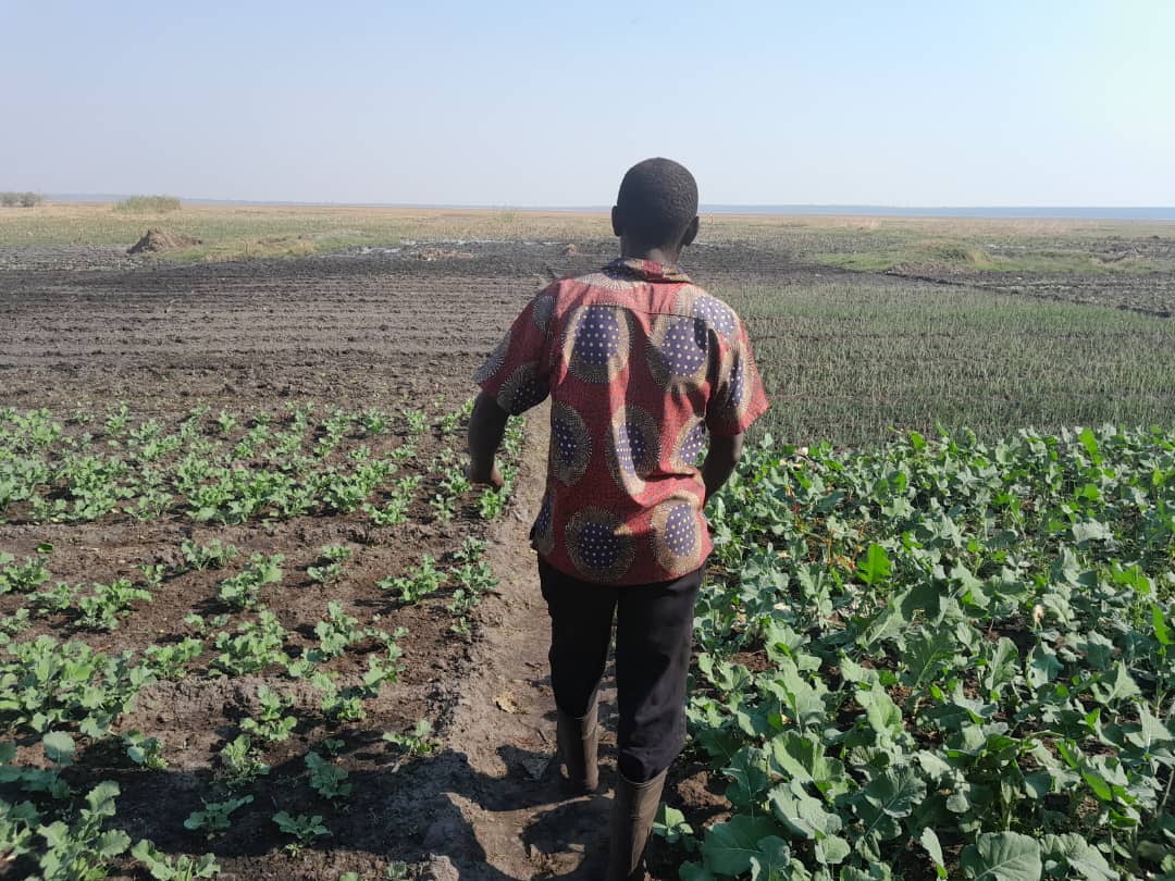 StefinaLago's tweet photo. Mr. N. Is one of the most inspiring farmers I met in these years. Raised and grown in Mawawa (Western Province), he is part of the farmers who adopted biogas technology under Pople in Need project. His success is our success and I'm grateful I met him on my field trip. https://t.co/Zuv6IjnJPq