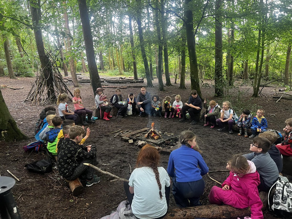 hiddenforestadventures tweet media