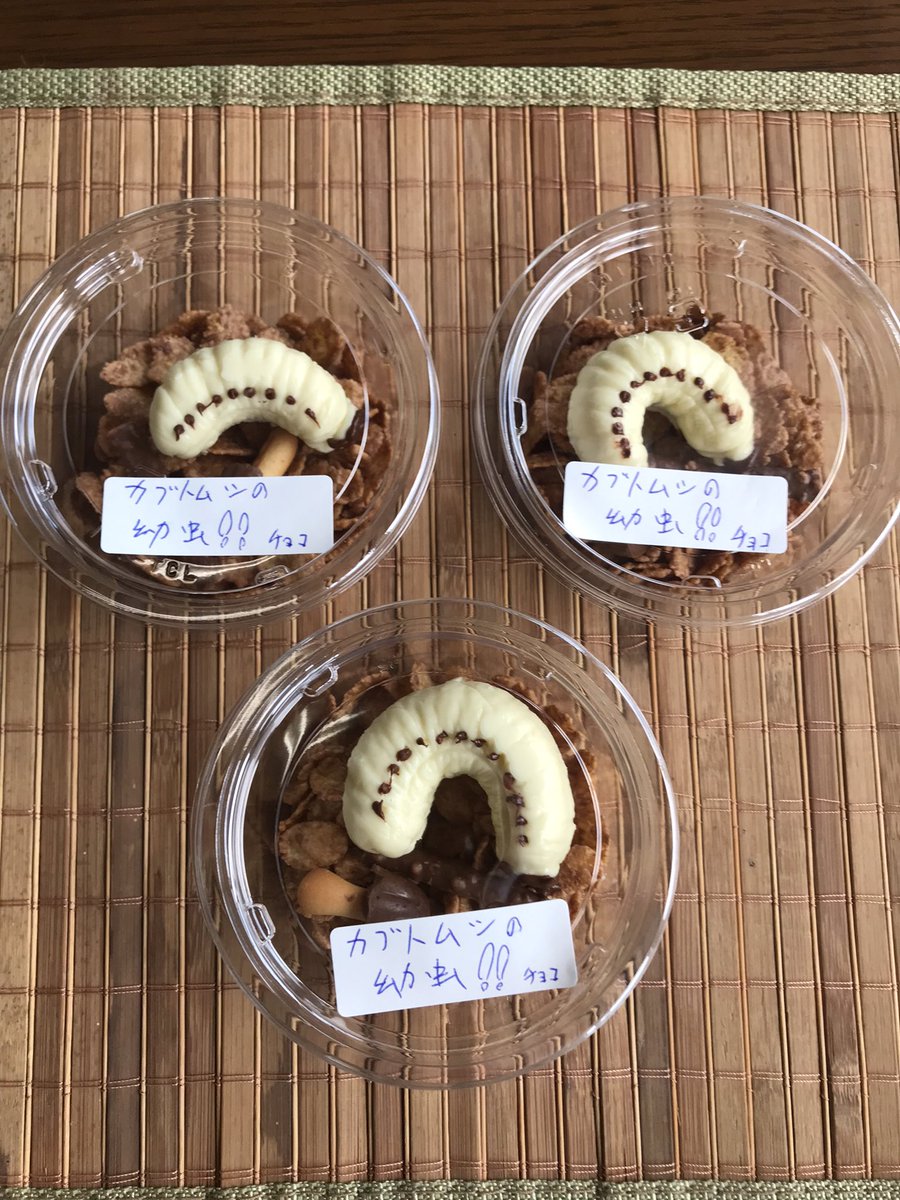 hijiriishi's tweet photo. 新名物品誕生！！

その名も「カブトムシの幼虫チョコ」

リアルさを追求するため　プラパックにいれてみたら　なんか…みたい(^^)
　
明日より奥州福島　聖石温泉にて　販売開始致します！

見た目は　あれですが… 味はバッチリですψ(｀∇´)ψ
#聖石温泉
#幼虫チョコ https://t.co/a3R4NX2CMv