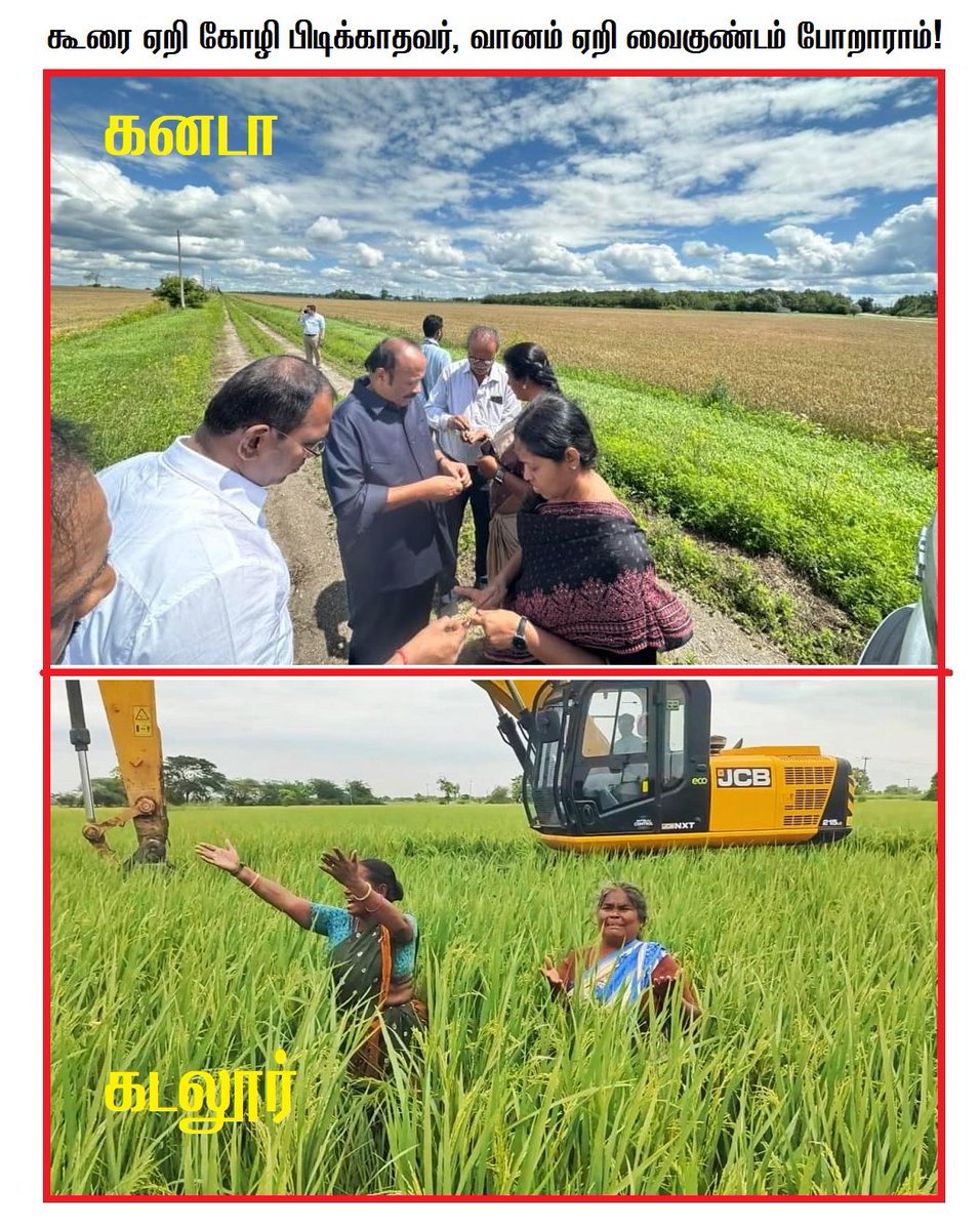 arulgreen's tweet photo. கூரை ஏறி கோழி பிடிக்காதவர், வானம் ஏறி வைகுண்டம் போறாராம்! 

சொந்த மாவட்ட விவசாயிகளை காப்பாற்ற முடியாத விவசாய அமைச்சர் – கனடா நாட்டின் விவசாயத்தை பார்வையிடுகிறாராம்!!

#விவசாயிகளின்விரோதிதிமுக
#DMKAgainstFarmers https://t.co/BmuhKkhwqV