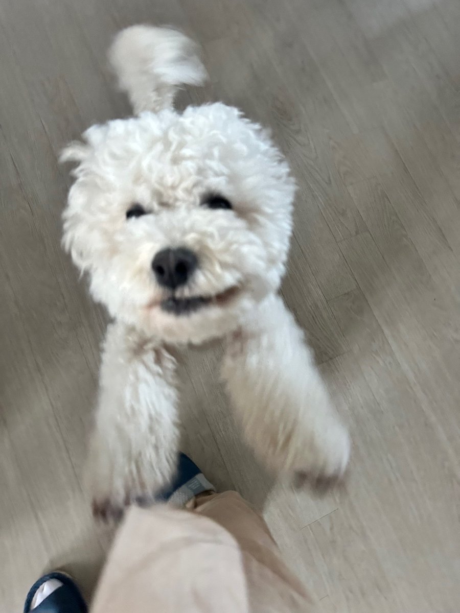 퀔냥냥 📌🔄 tweet media
