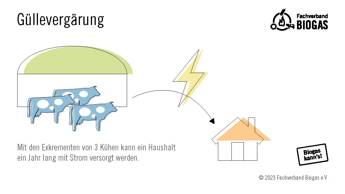 Die Exkremente von 3 Kühen reichen aus, um einen durchschnittlichen Haushalt ein Jahr lang mit Strom zu versorgen. Bislang landet aber weniger als ein Drittel der anfallenden #Gülle in #Biogasanlagen – was für eine Energieverschwendung ...
#biogaskanns
<a href="/FVBiogas/">Fachverband Biogas</a>