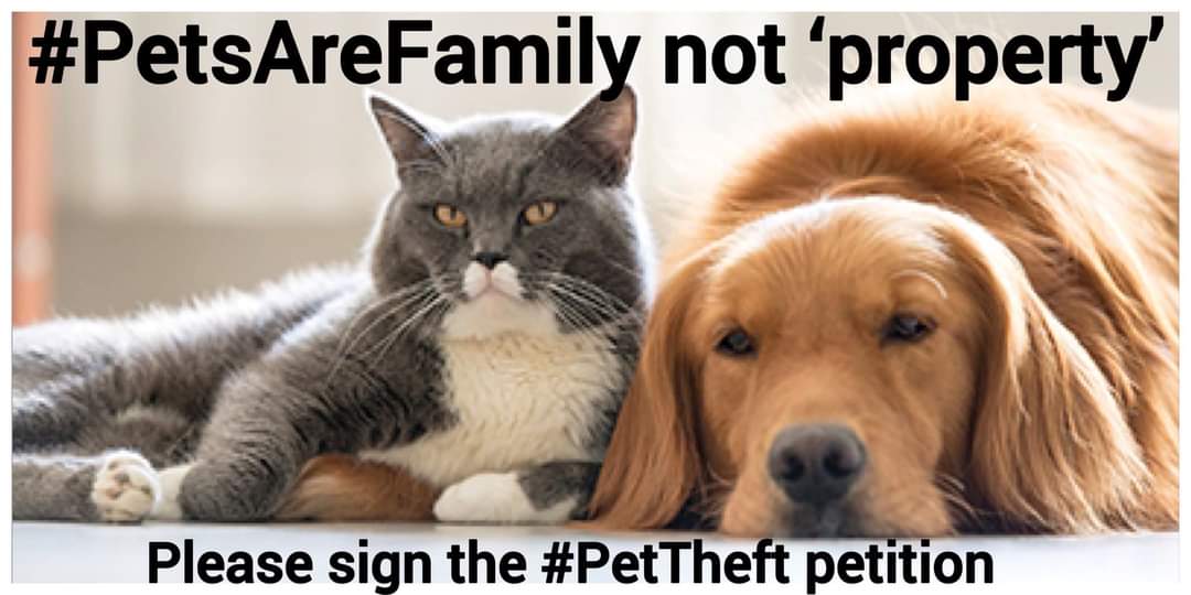 Dogs and cats are not inanimate objects they are part of the family, please SIGN and RT this new petition to make the Government standby their commitment to Make #PetTheft a specific crime 🙏
petition.parliament.uk/petitions/6401…
#PetTheftReform #PetAbduction