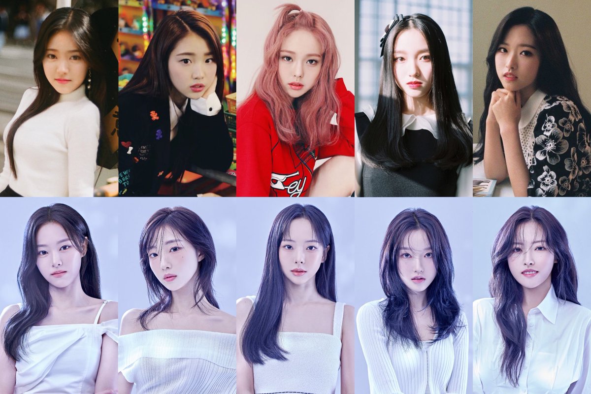 the evolution of loossemble