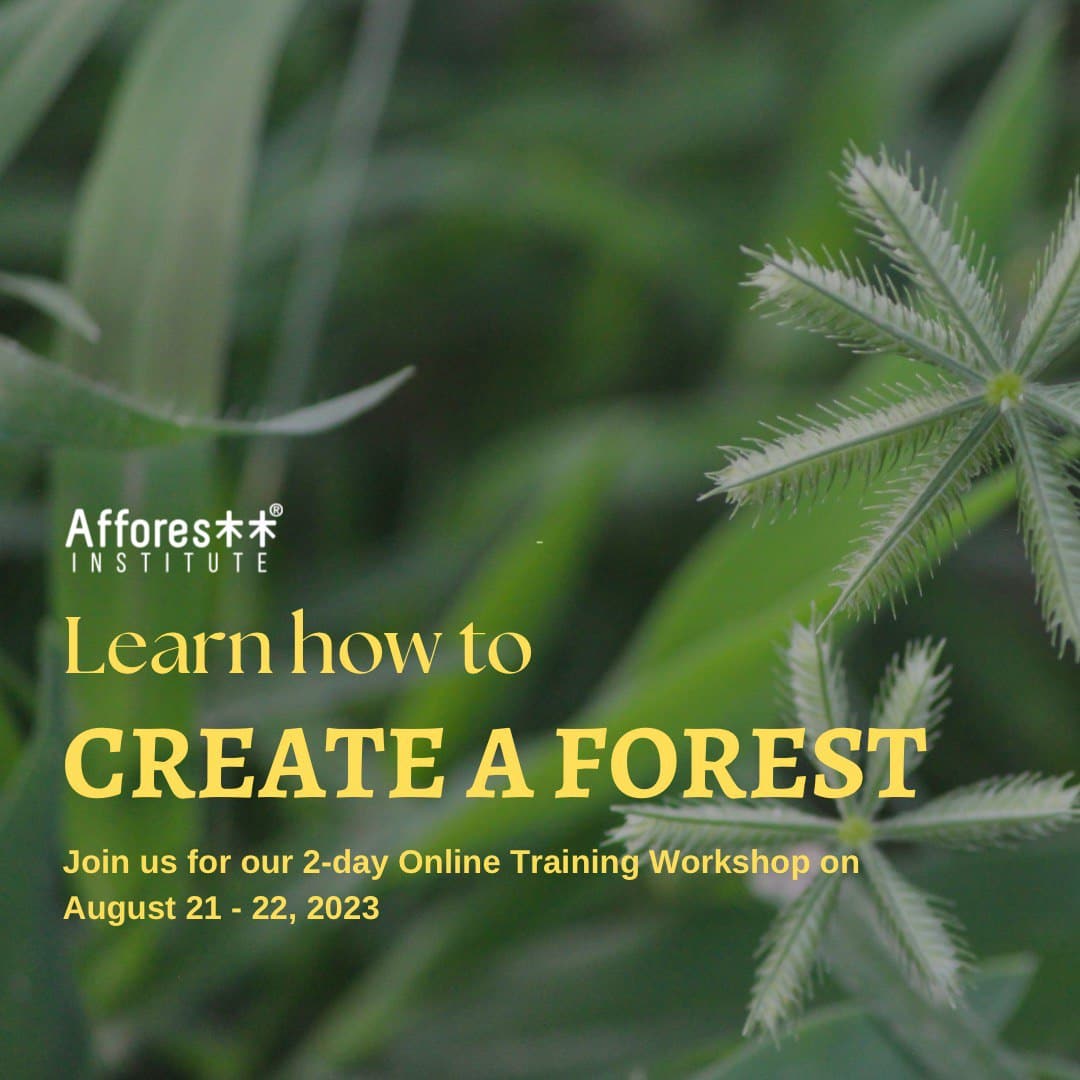 Join us for our 2-day Online Training workshop on 21st- 22nd August, 2023 (6 PM to 10 PM, IST) With a focus on adapting the Miyawaki methodology of afforestation. Fee:- INR 35,000/USD 500 Do write to us with the statement of intent on training@afforestt.com. #onlinetraining