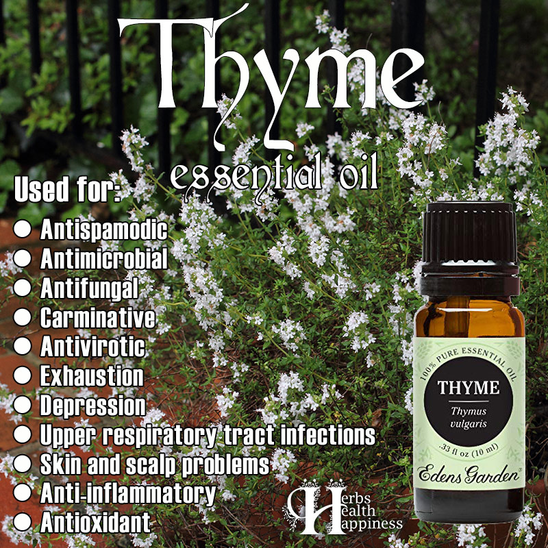 Thyme essential oil is great for treating colds, flues, insect bites, muscle pains, poor circulation and dermatitis   🌿 

seattleorganicrestaurants.com/vegan-whole-fo…