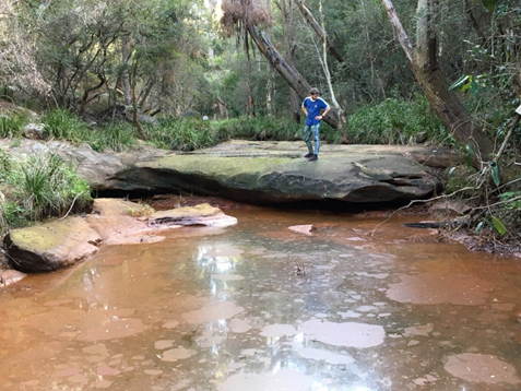 drianwright's tweet photo. Interesting that the colliery was fined for loss of water, the creek channel has been shattered by mine subsidence. It will never flow normally again. But what about the water pollution? Water quality in these pools is terrible! 
https://t.co/14HC63OWxO via @ABCaustralia https://t.co/MWPykxIF3B