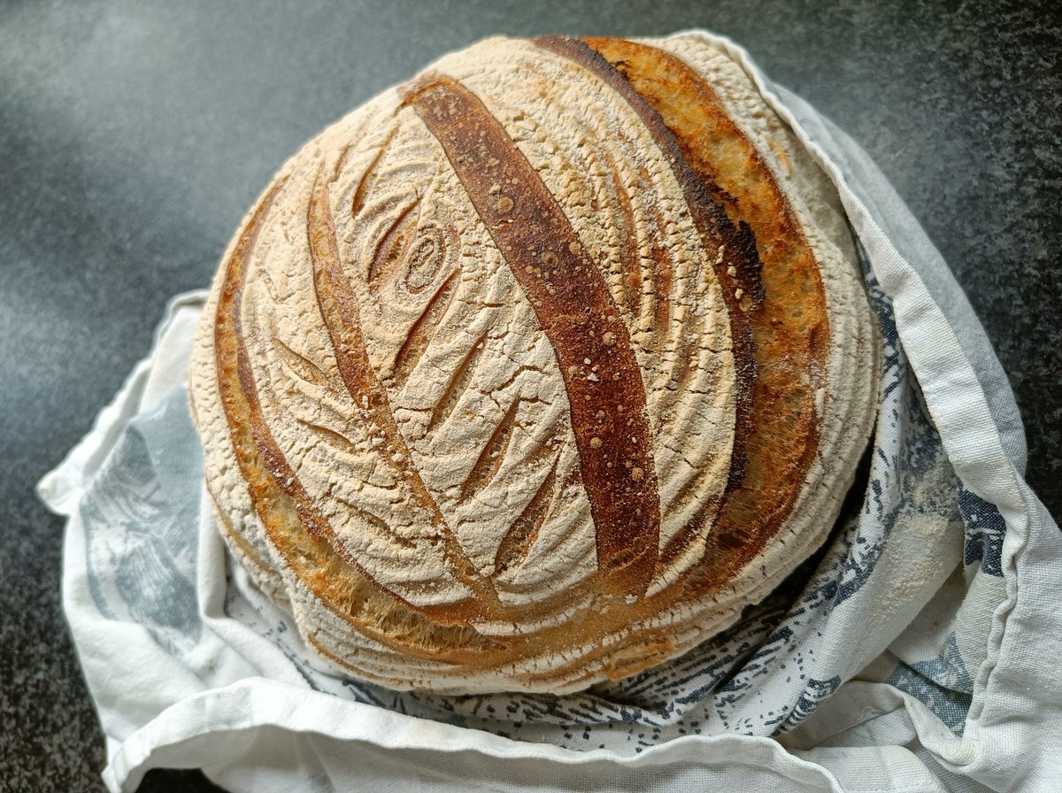 Good morning. #sourdough #artisanbread