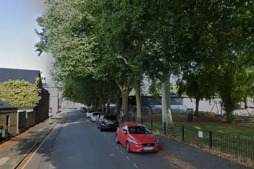 ReforestB's tweet photo. Cambridge residents campaign to save three 125-year-old plane trees, with TPO protection, from felling
https://t.co/cfhf5GW7wN https://t.co/IQYimuOOBE