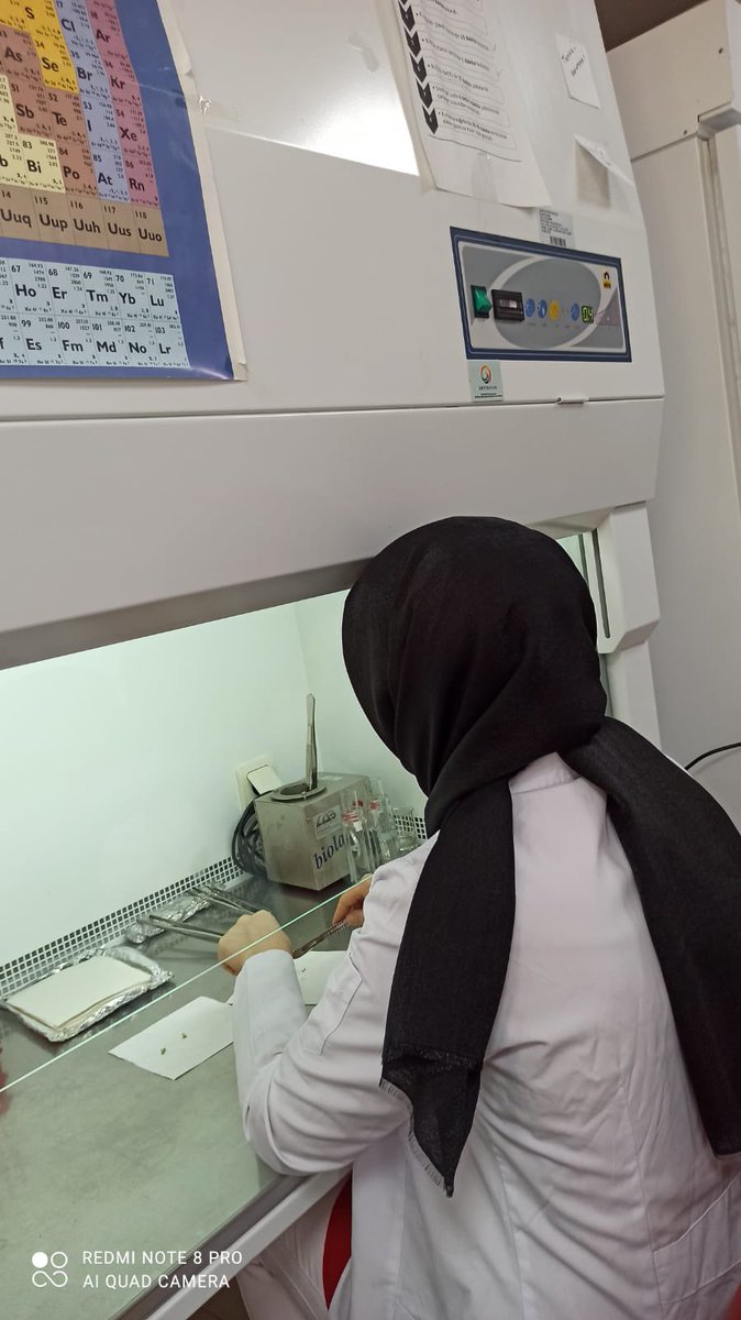 Staj öğrencilerimiz fakültemiz bölümlerinde yoğun uygulamalı eğitim alıyor.