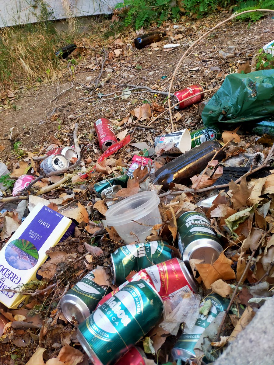 Rapunkelsite's tweet photo. @Lineamadrid la aplicación no vale para nada, pero el aviso de twitter de hace mas de un mes tampoco, así siguen las calles de debajo de mi casa.... https://t.co/MbNPyoiXPc